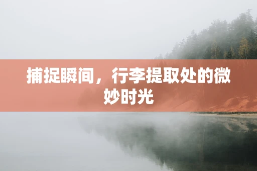 捕捉瞬间，行李提取处的微妙时光