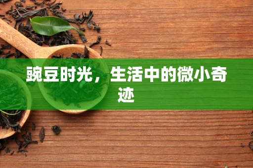 豌豆时光，生活中的微小奇迹