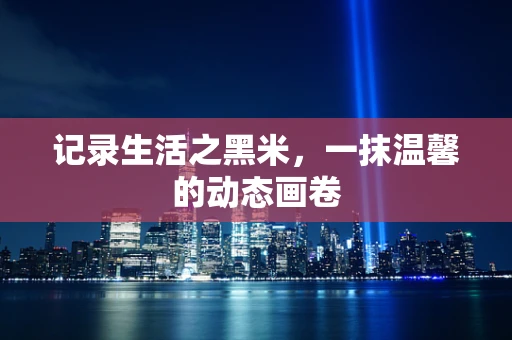 记录生活之黑米，一抹温馨的动态画卷