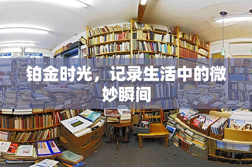 铂金时光，记录生活中的微妙瞬间