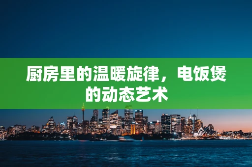 厨房里的温暖旋律，电饭煲的动态艺术
