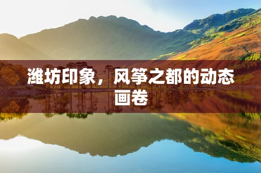 潍坊印象，风筝之都的动态画卷