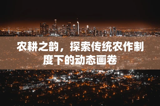 农耕之韵，探索传统农作制度下的动态画卷