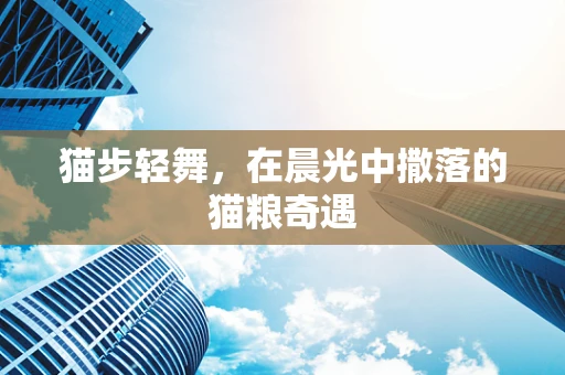 猫步轻舞，在晨光中撒落的猫粮奇遇