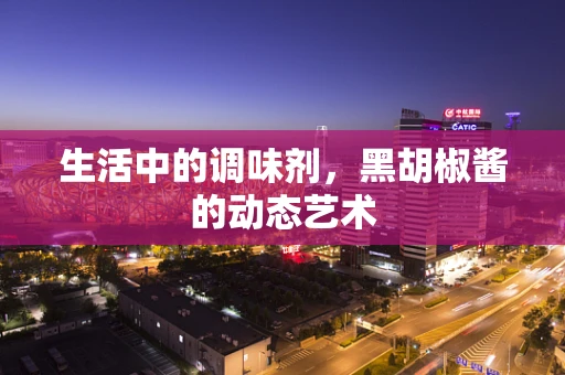 生活中的调味剂，黑胡椒酱的动态艺术