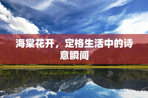 海棠花开，定格生活中的诗意瞬间