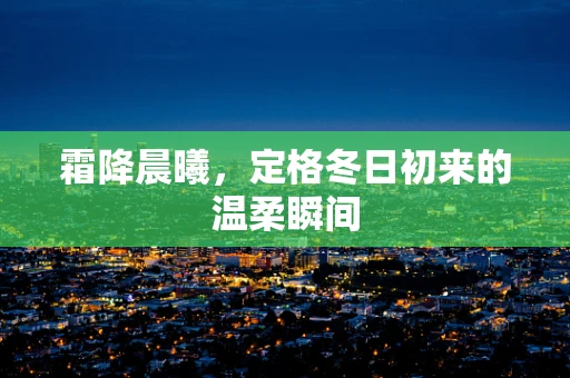 霜降晨曦，定格冬日初来的温柔瞬间