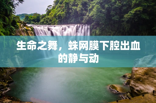 生命之舞，蛛网膜下腔出血的静与动