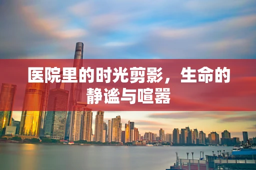 医院里的时光剪影，生命的静谧与喧嚣