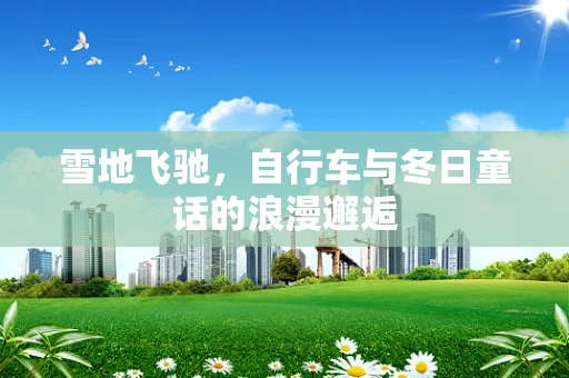 雪地飞驰，自行车与冬日童话的浪漫邂逅