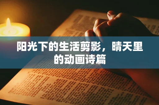 阳光下的生活剪影，晴天里的动画诗篇