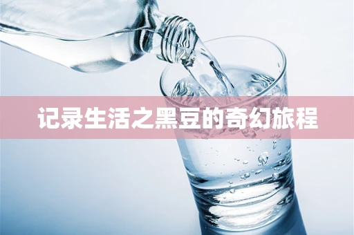 记录生活之黑豆的奇幻旅程