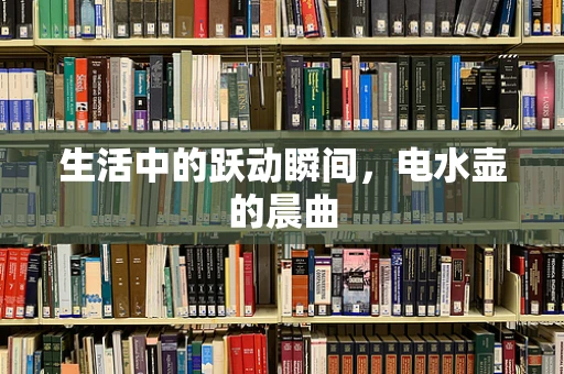 生活中的跃动瞬间，电水壶的晨曲