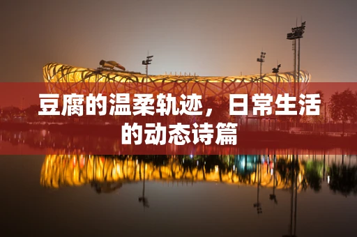 豆腐的温柔轨迹，日常生活的动态诗篇