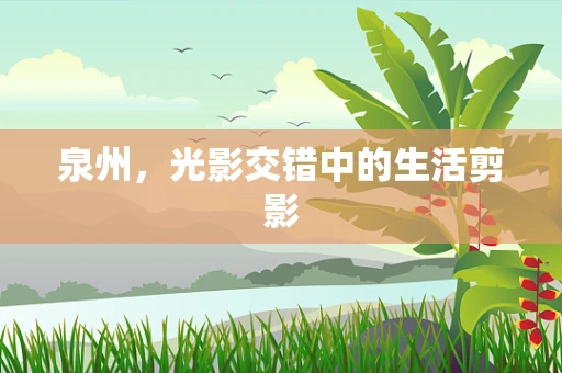 泉州，光影交错中的生活剪影