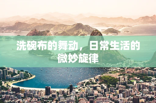 洗碗布的舞动，日常生活的微妙旋律