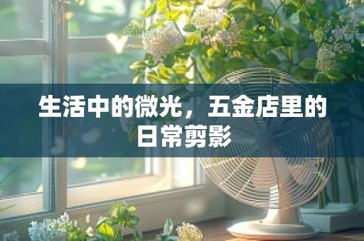 生活中的微光，五金店里的日常剪影