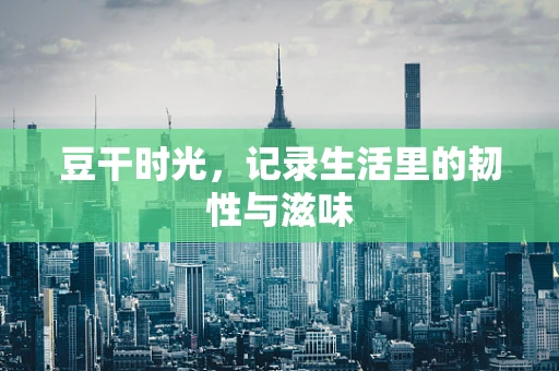 豆干时光，记录生活里的韧性与滋味