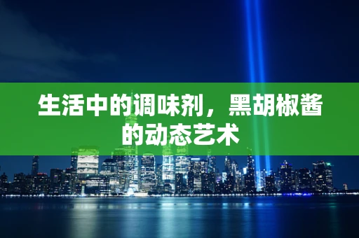 生活中的调味剂，黑胡椒酱的动态艺术