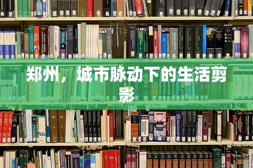 郑州，城市脉动下的生活剪影