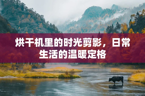烘干机里的时光剪影，日常生活的温暖定格