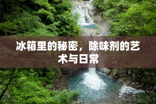 冰箱里的秘密，除味剂的艺术与日常
