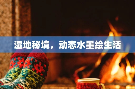 湿地秘境，动态水墨绘生活