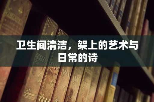 卫生间清洁，架上的艺术与日常的诗