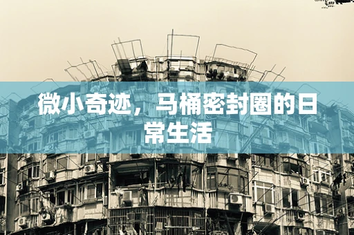 微小奇迹，马桶密封圈的日常生活