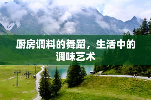 厨房调料的舞蹈，生活中的调味艺术