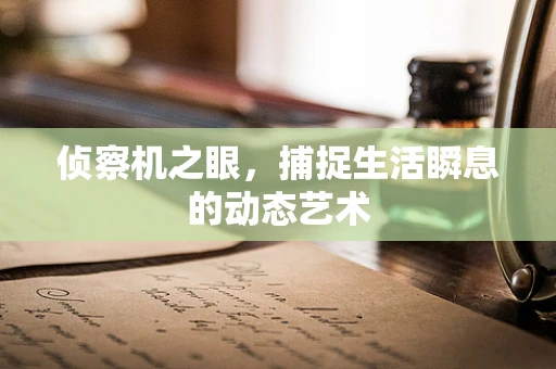 侦察机之眼，捕捉生活瞬息的动态艺术