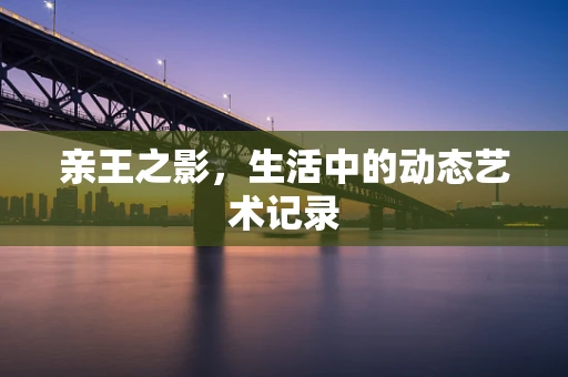 亲王之影，生活中的动态艺术记录
