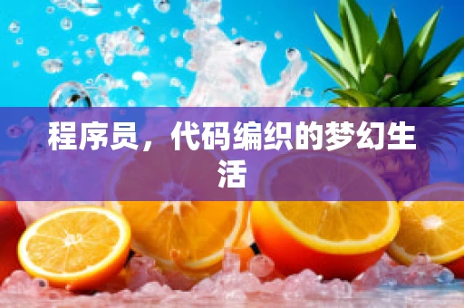 程序员，代码编织的梦幻生活