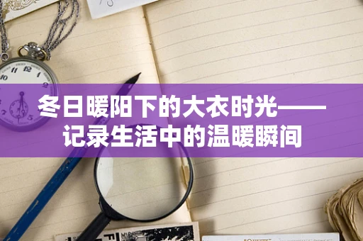 冬日暖阳下的大衣时光——记录生活中的温暖瞬间