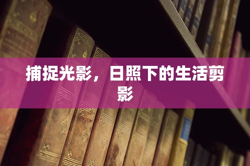 捕捉光影，日照下的生活剪影