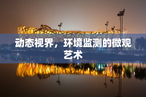 动态视界，环境监测的微观艺术