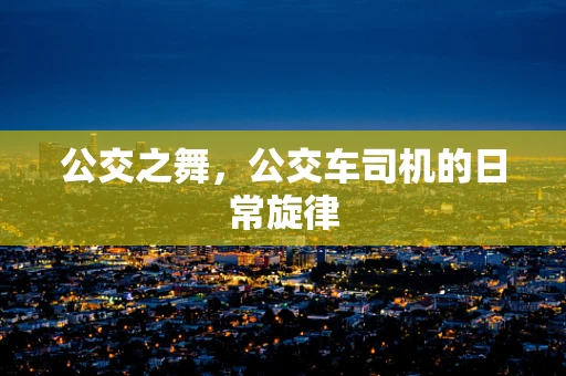 公交之舞，公交车司机的日常旋律