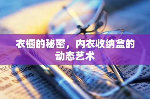 衣橱的秘密，内衣收纳盒的动态艺术