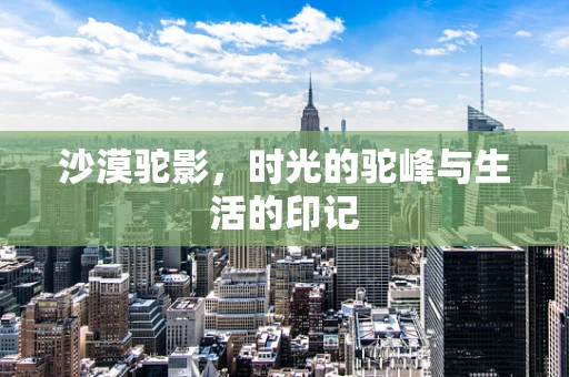 沙漠驼影，时光的驼峰与生活的印记