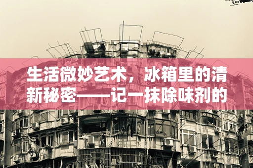 生活微妙艺术，冰箱里的清新秘密——记一抹除味剂的魔法时刻