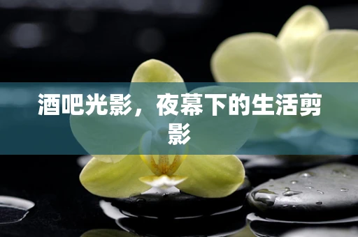 酒吧光影，夜幕下的生活剪影