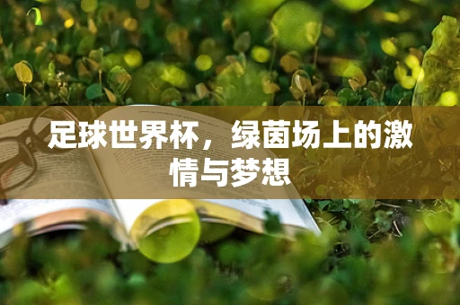 足球世界杯，绿茵场上的激情与梦想
