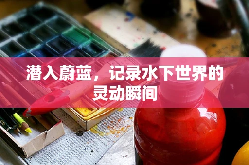 潜入蔚蓝，记录水下世界的灵动瞬间