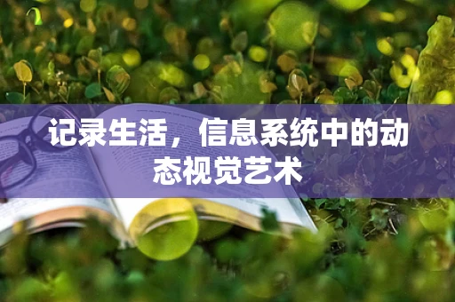 记录生活，信息系统中的动态视觉艺术