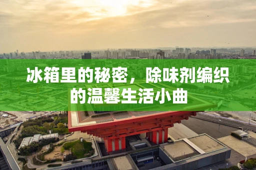 冰箱里的秘密，除味剂编织的温馨生活小曲