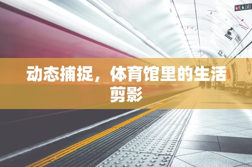 动态捕捉，体育馆里的生活剪影