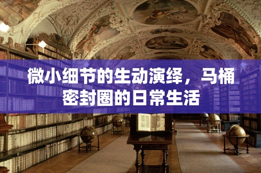 微小细节的生动演绎，马桶密封圈的日常生活