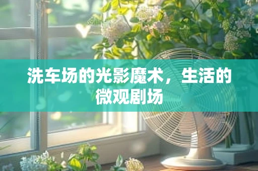 洗车场的光影魔术，生活的微观剧场