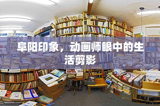 阜阳印象，动画师眼中的生活剪影