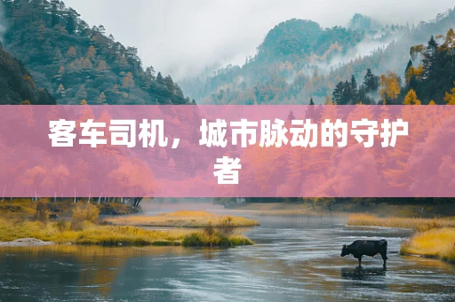 客车司机，城市脉动的守护者